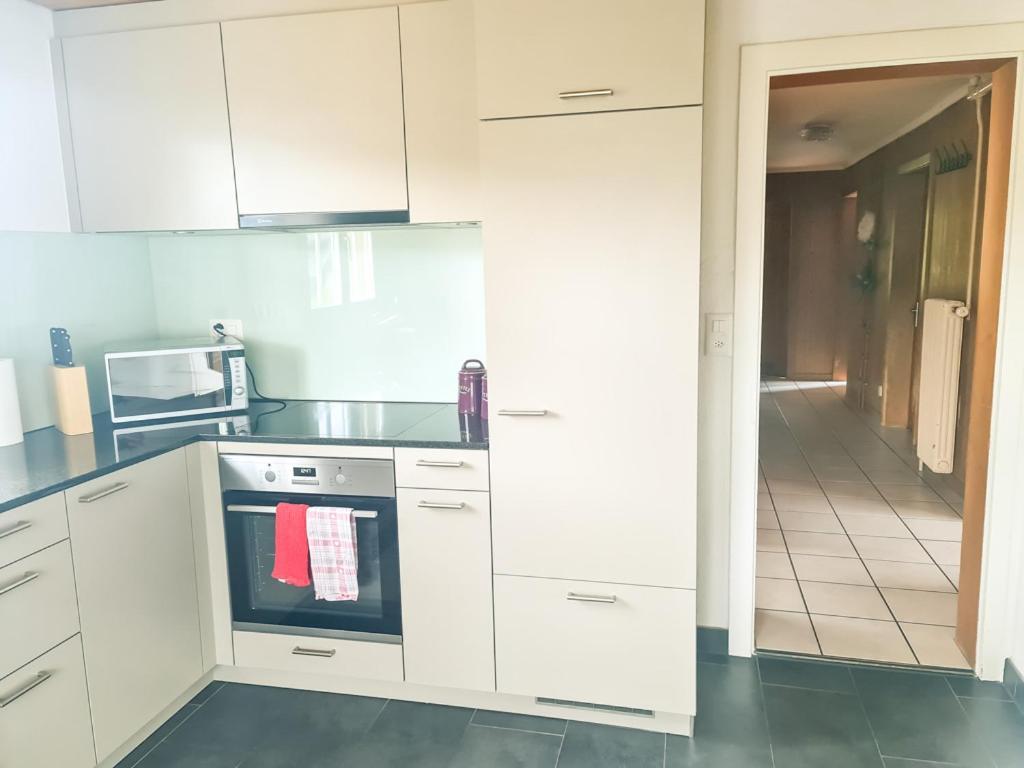 Abendberg Apartment - Aare Jungfrau Ag 维尔德斯韦尔 外观 照片