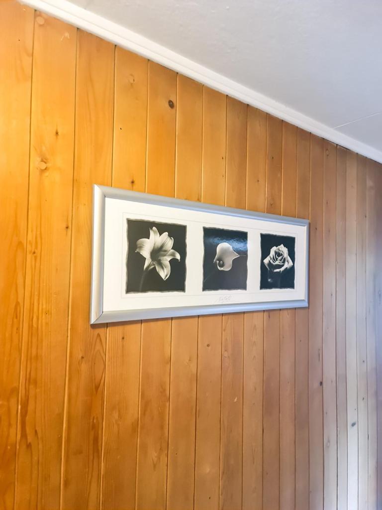 Abendberg Apartment - Aare Jungfrau Ag 维尔德斯韦尔 外观 照片